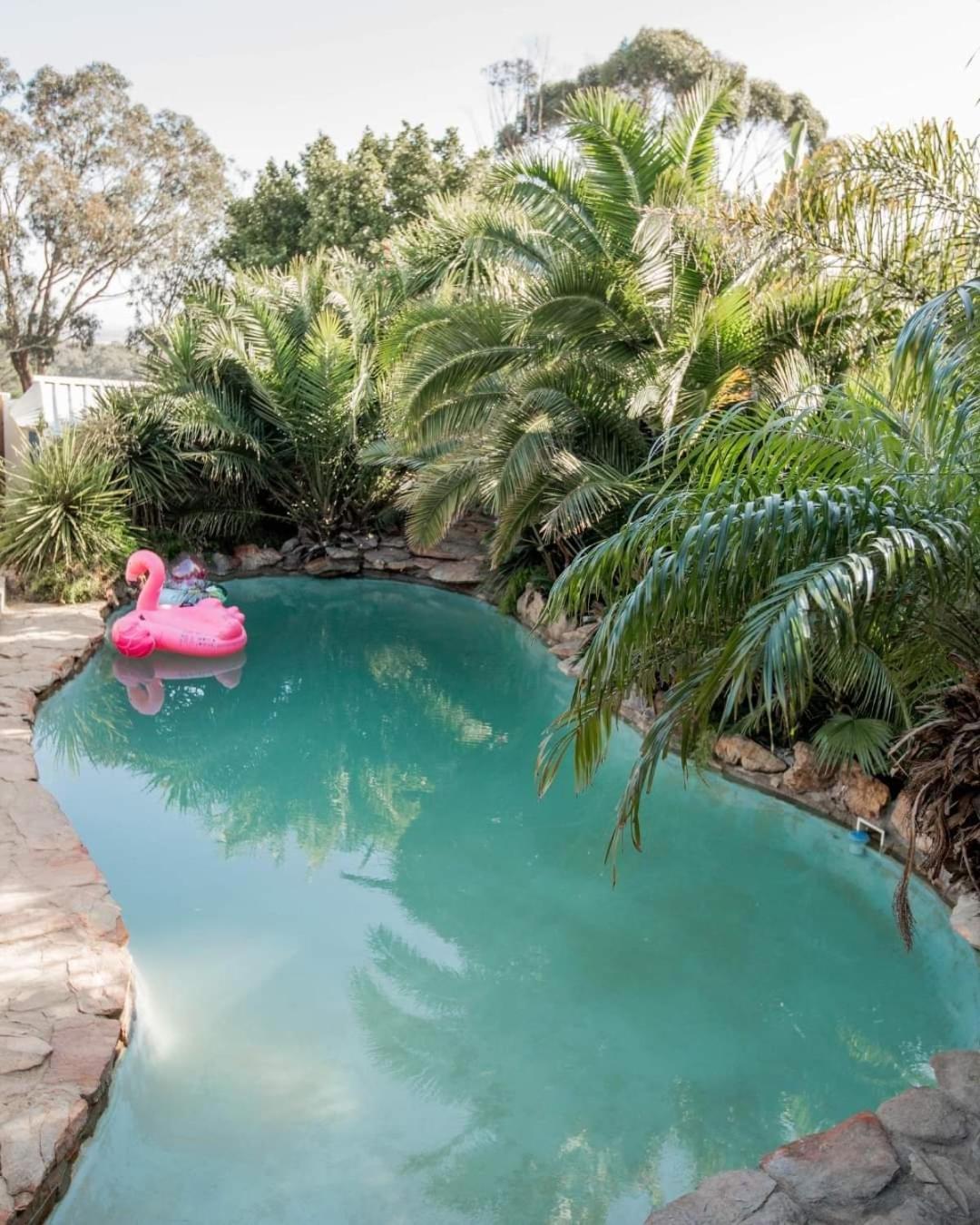Thyme Wellness Spa And Guesthouse Cape Town Exterior photo